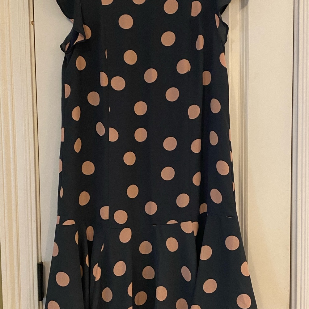 Loft drop waist,ruffle dress. Color is blue/gray with cream polka dots.